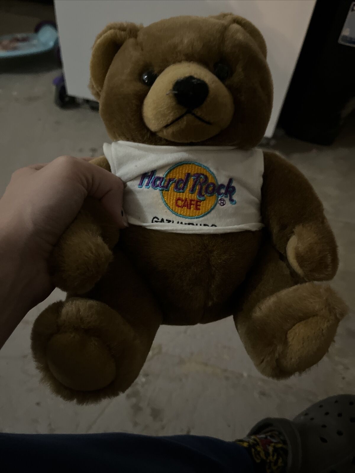 Hard Rock Cafe Gatlinburg Tn Herrington's Bear Club Plush Teddy